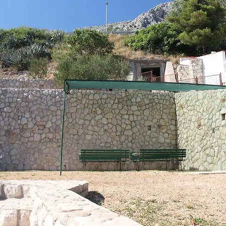 Zorana מימיצה