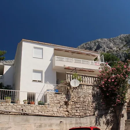 Zorana *