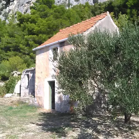 Zorana Mimice