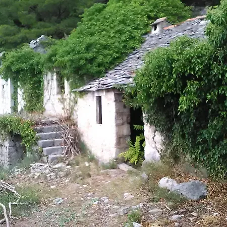 Zorana Apartman