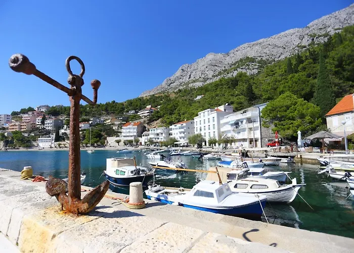 Zorana *