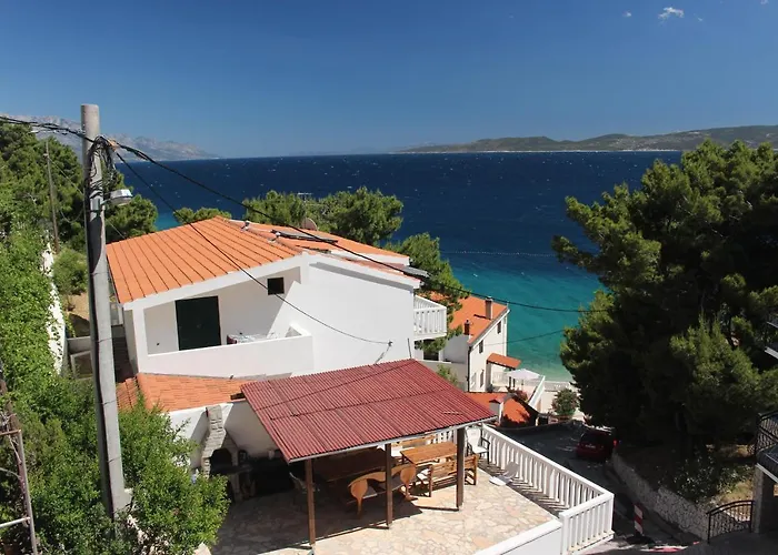 Zorana