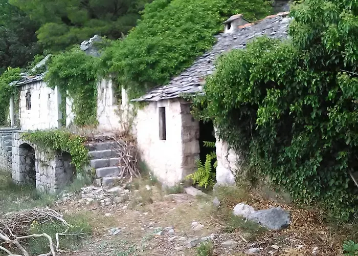 Zorana Apartment
