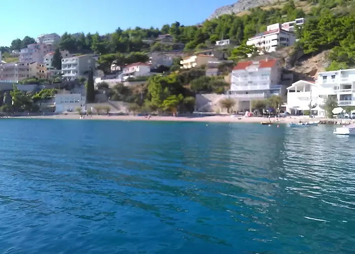 Zorana * Mimice