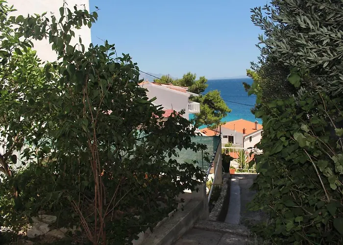Apartment Zorana Mimice