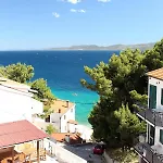Zorana Mimice