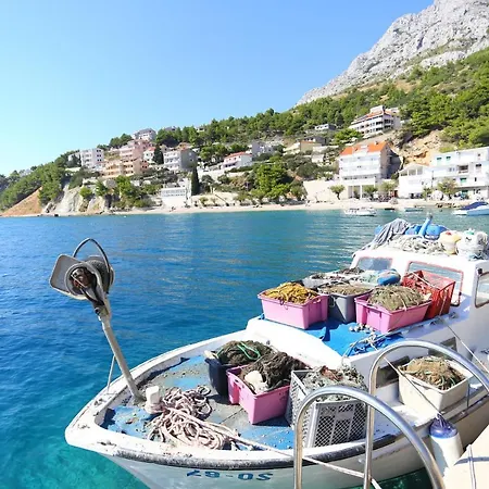 Zorana