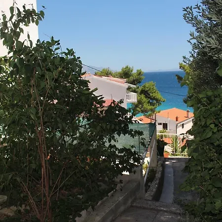 Apartment Zorana Mimice